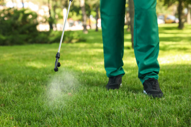 Best Insect Control  in Prceton, IN