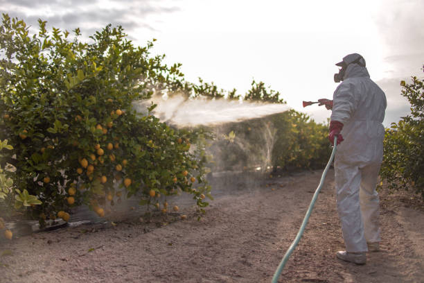 Trusted Princeton, IN Pest Control Experts