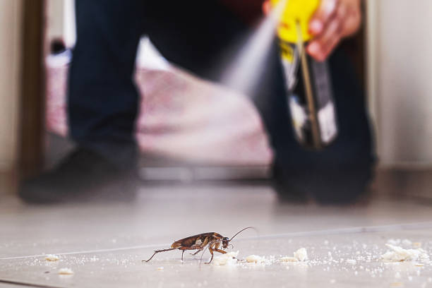 Professional Pest Control in Princeton, IN